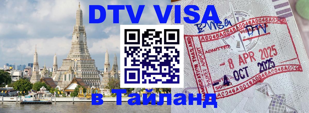 Сколько стоит DTV виза — актуальные цены, оформление даже без документов - 19.11.2025 
